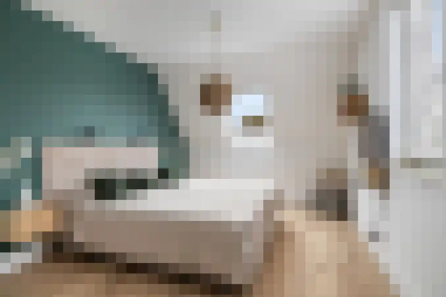 Beekweide 86 Renswoude thumbnail 25
