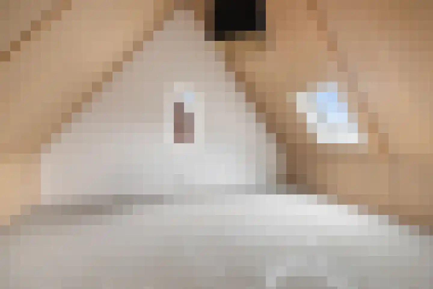 Beekweide 86 Renswoude thumbnail 31
