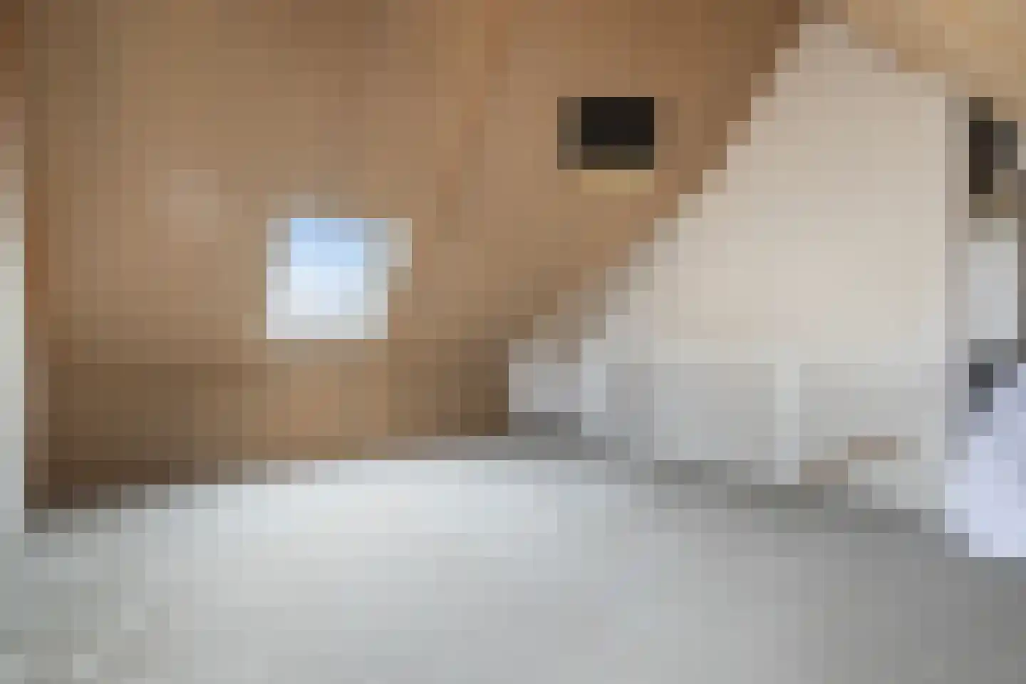 Beekweide 86 Renswoude thumbnail 32