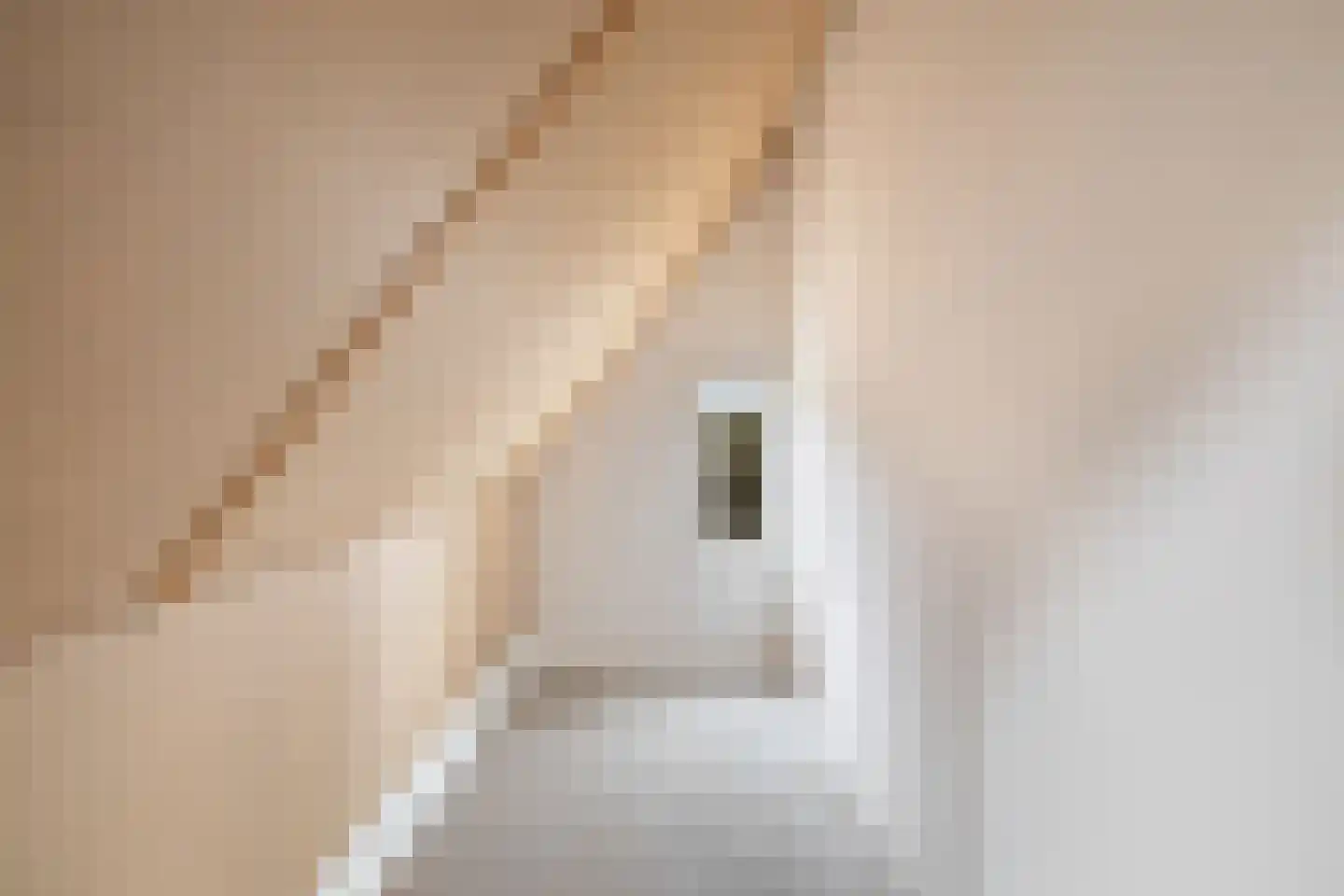 Beekweide 86 Renswoude thumbnail 34