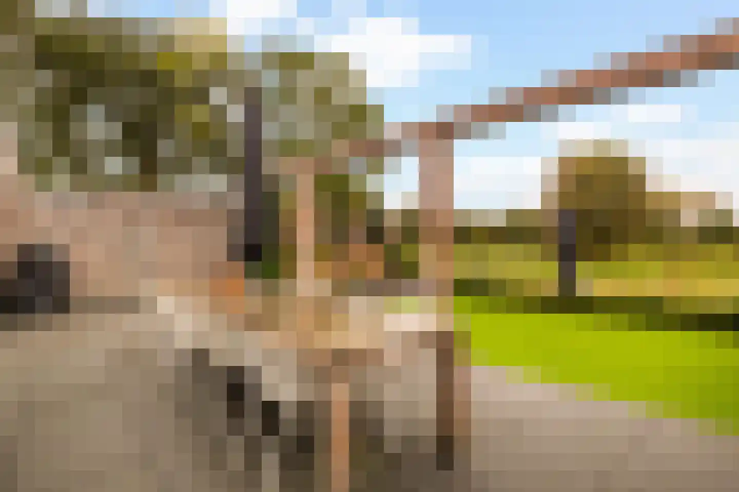 Beekweide 86 Renswoude thumbnail 35