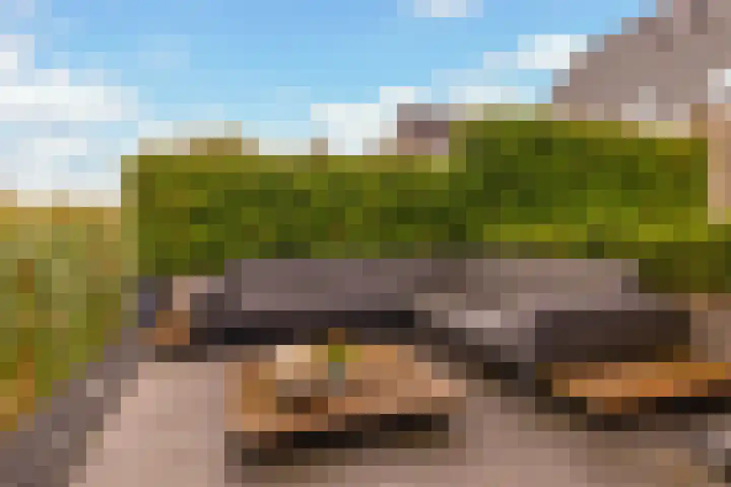 Beekweide 86 Renswoude thumbnail 38