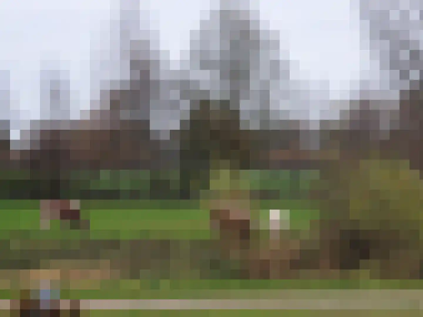 Beekweide 86 Renswoude thumbnail 39