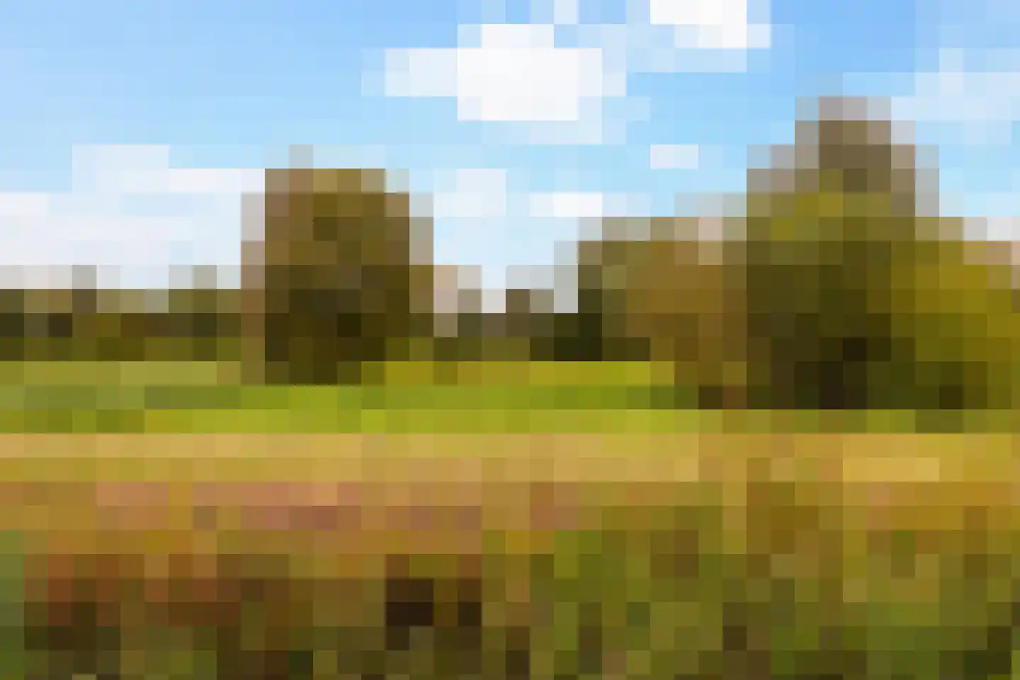 Beekweide 86 Renswoude thumbnail 41