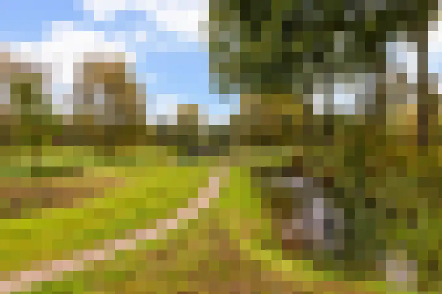 Beekweide 86 Renswoude thumbnail 42