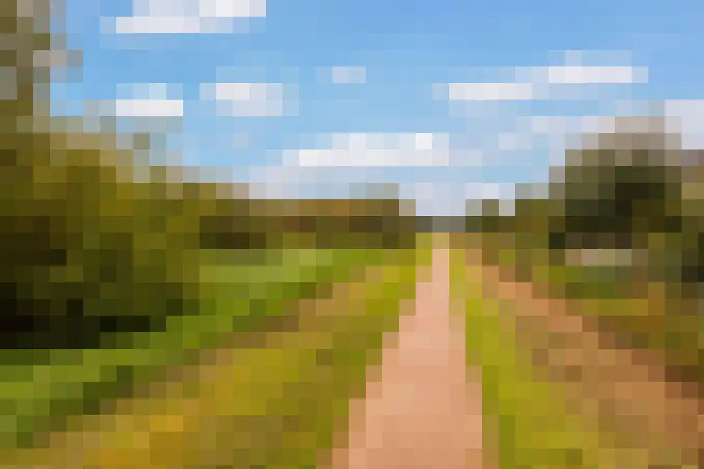 Beekweide 86 Renswoude thumbnail 43
