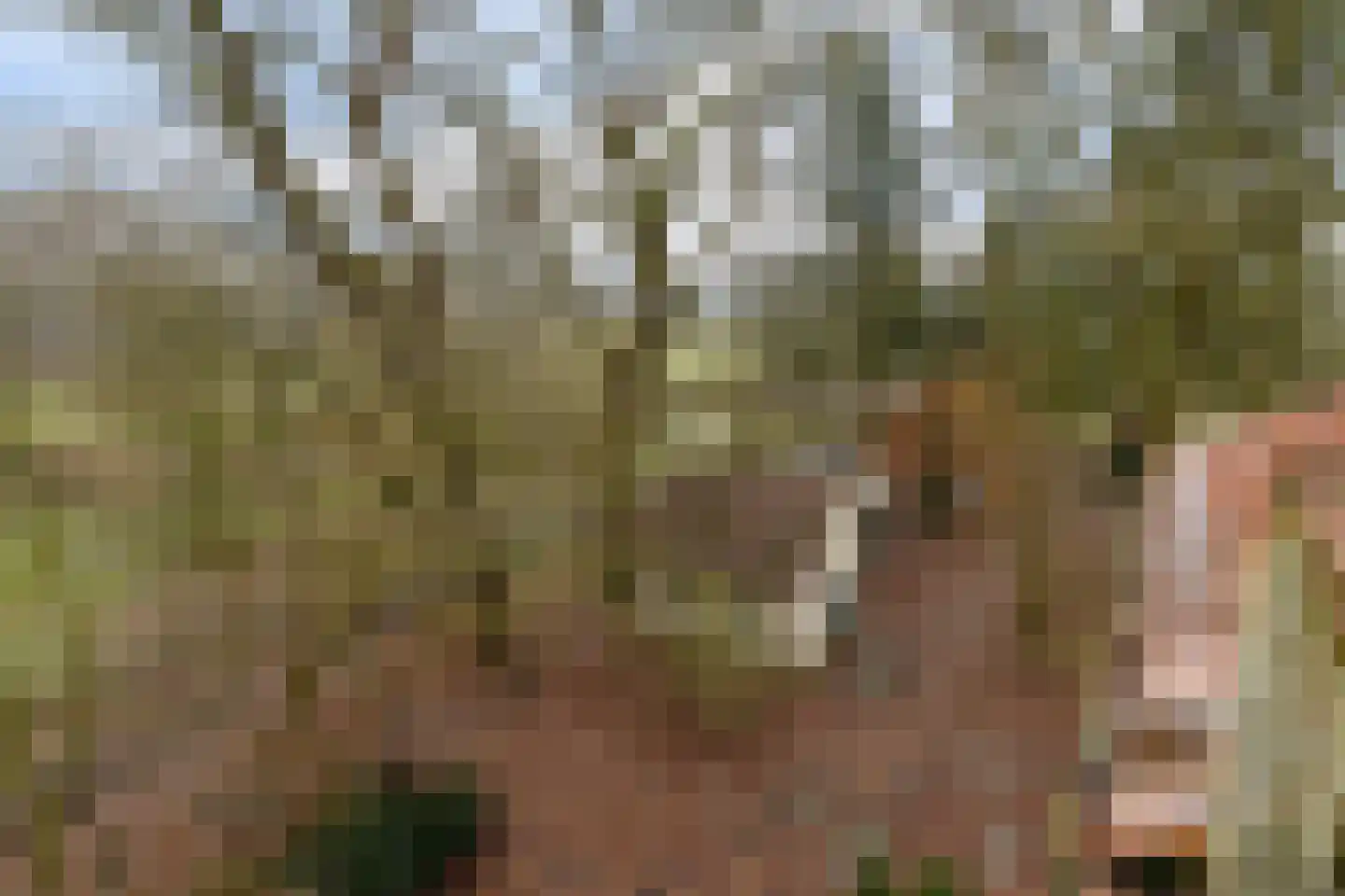 Beel-lanen 1 Woerden thumbnail 30