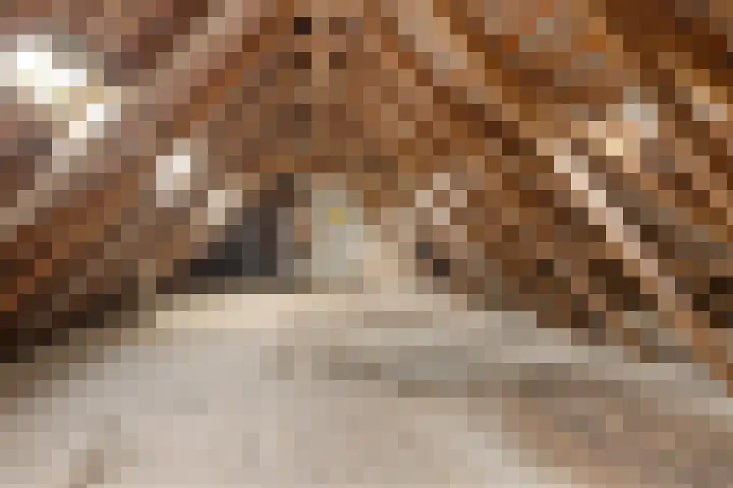 Beel-lanen 1 Woerden thumbnail 32