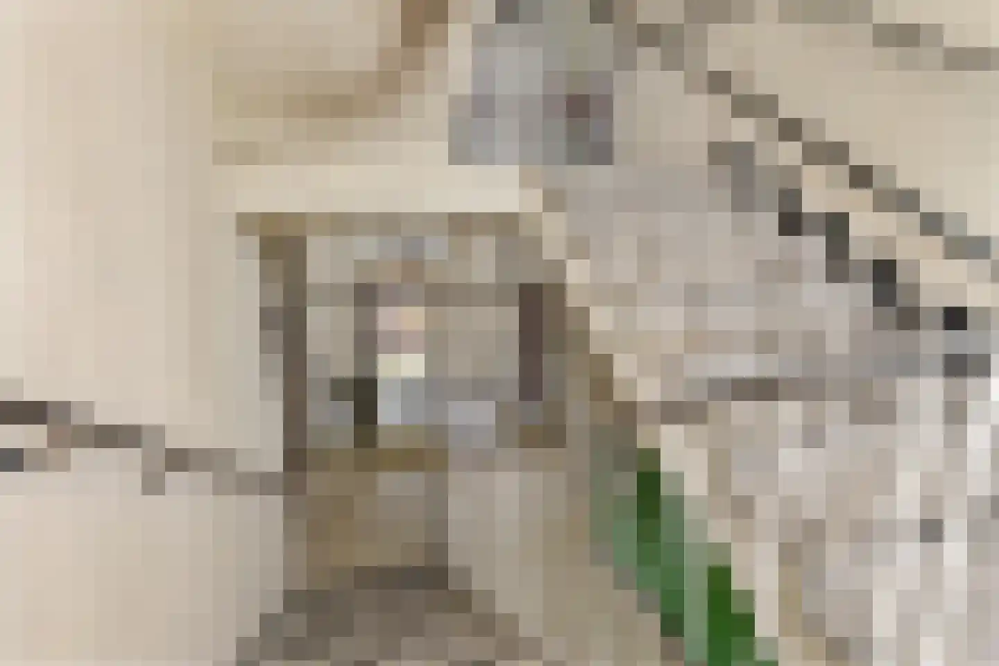 Beel-lanen 1 Woerden thumbnail 33