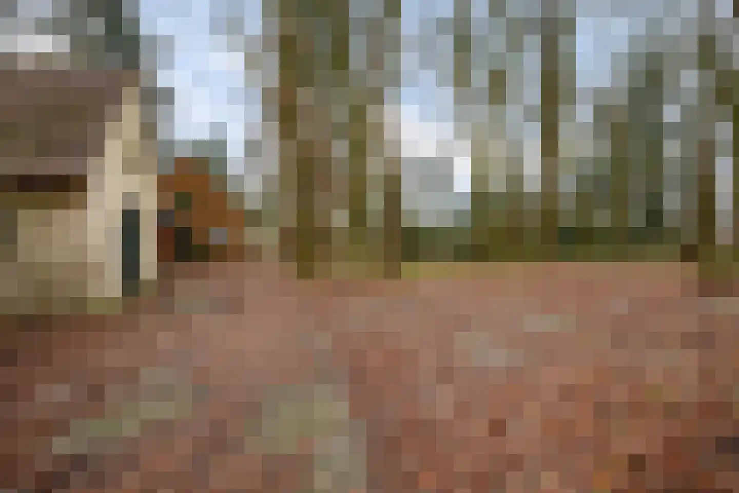 Beel-lanen 1 Woerden thumbnail 4