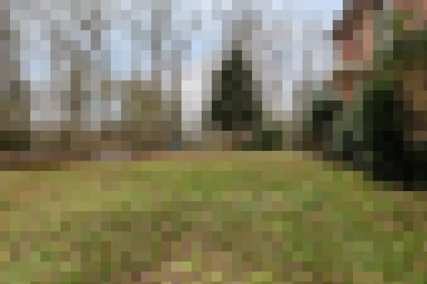 Beel-lanen 1 Woerden thumbnail 40