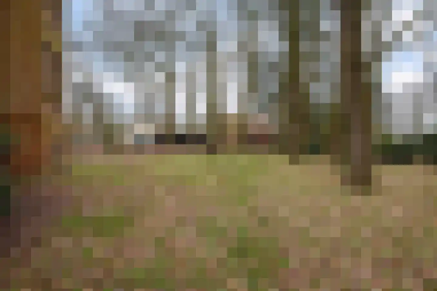Beel-lanen 1 Woerden thumbnail 5