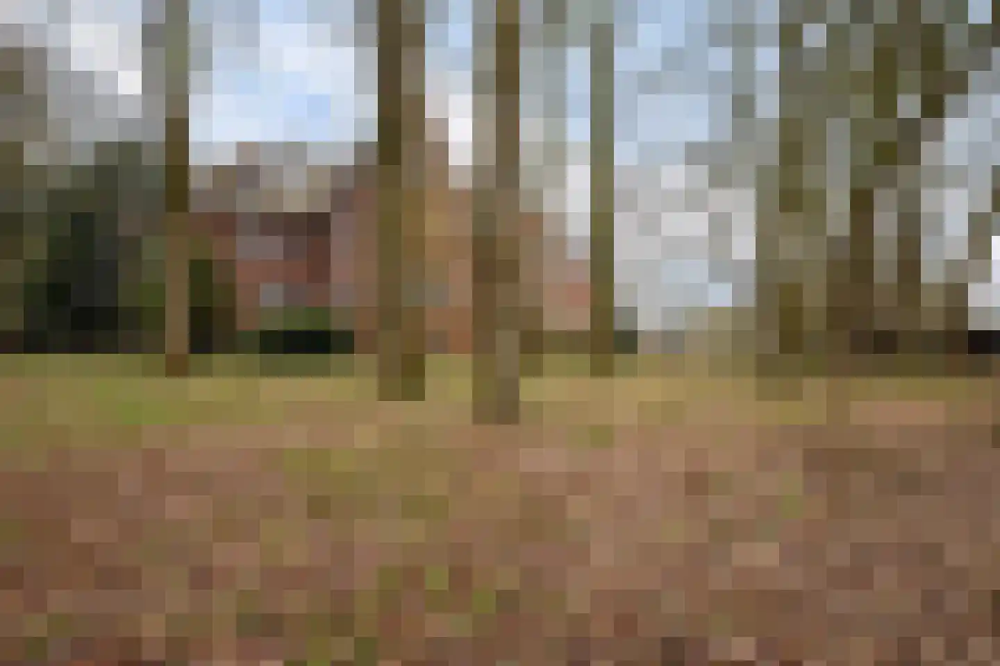 Beel-lanen 1 Woerden thumbnail 6