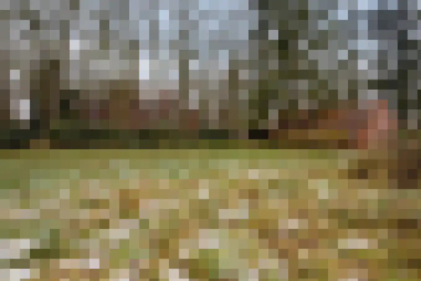 Beel-lanen 1 Woerden thumbnail 8