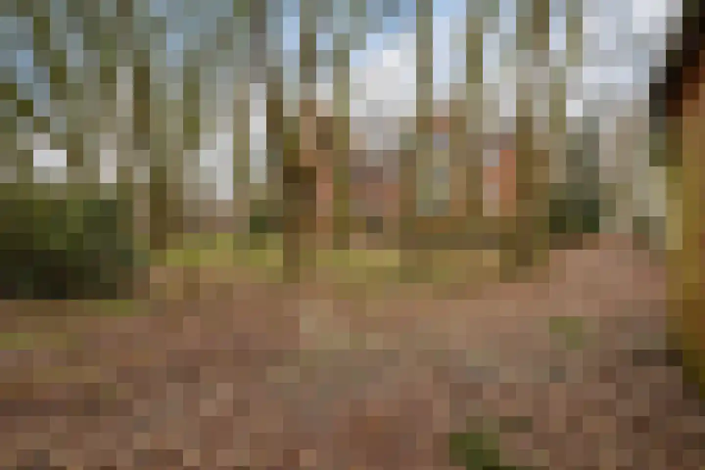 Beel-lanen 1 Woerden thumbnail 9