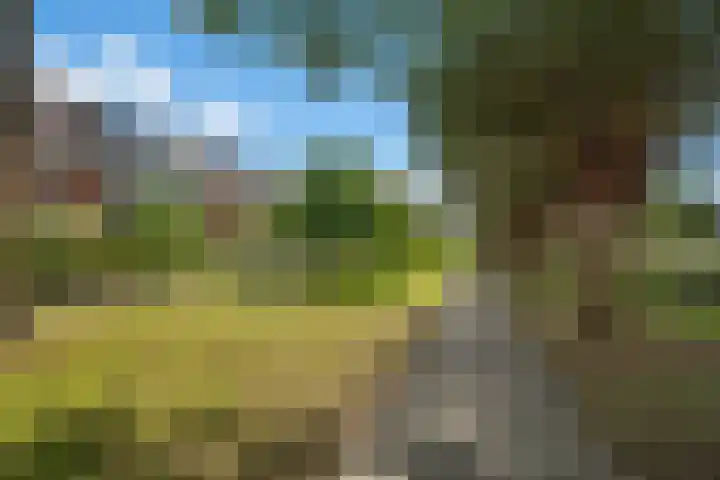 Beel-lanen 12 Woerden thumbnail 34