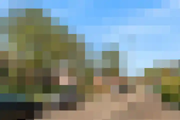Beel-lanen 6 Woerden thumbnail 34