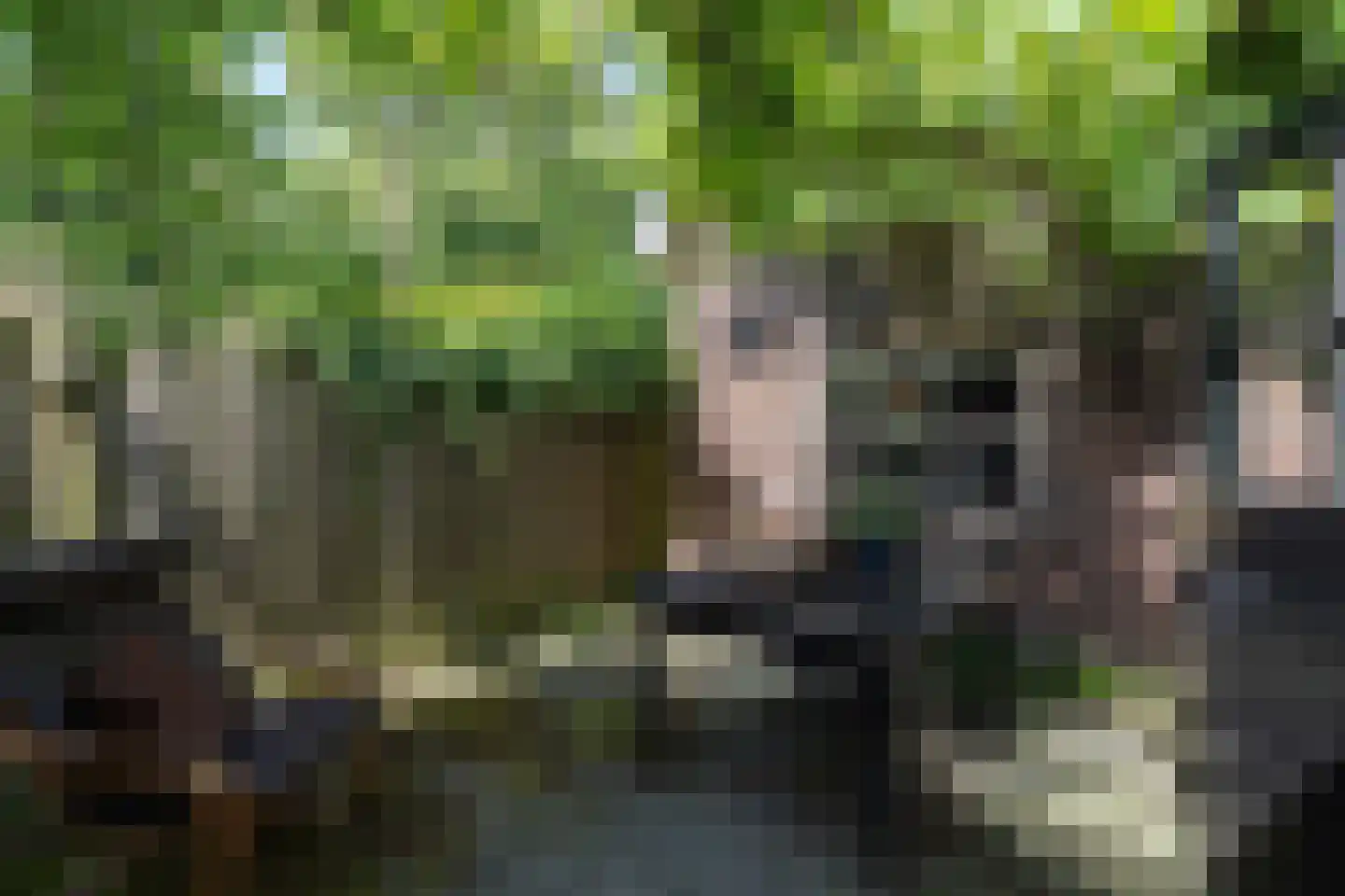 Beelaerts van Bloklandweg 47 Ottoland thumbnail 15