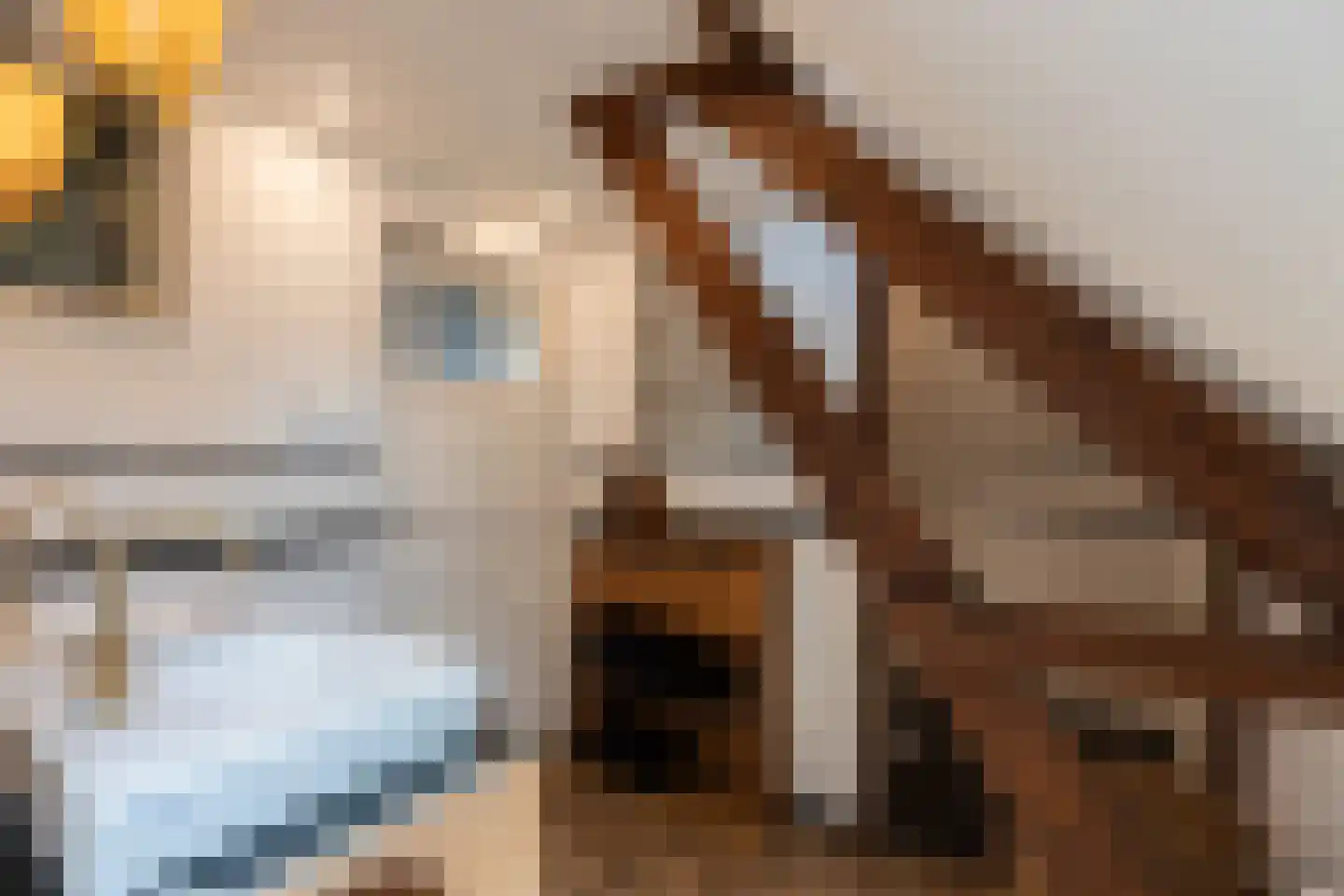 Beelaerts van Bloklandweg 47 Ottoland thumbnail 30