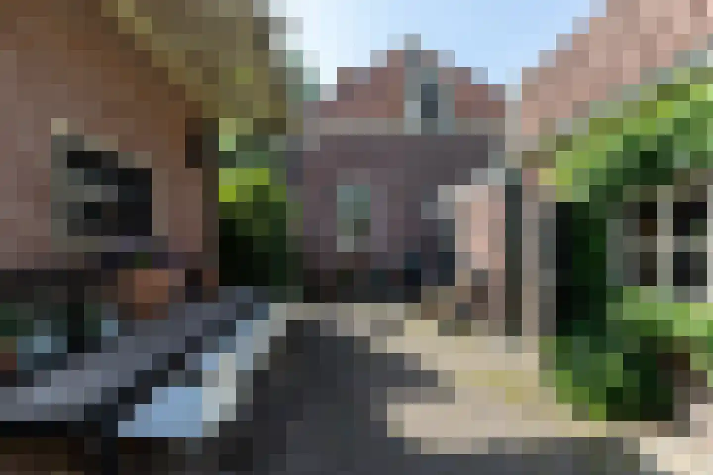 Beelaerts van Bloklandweg 47 Ottoland thumbnail 33
