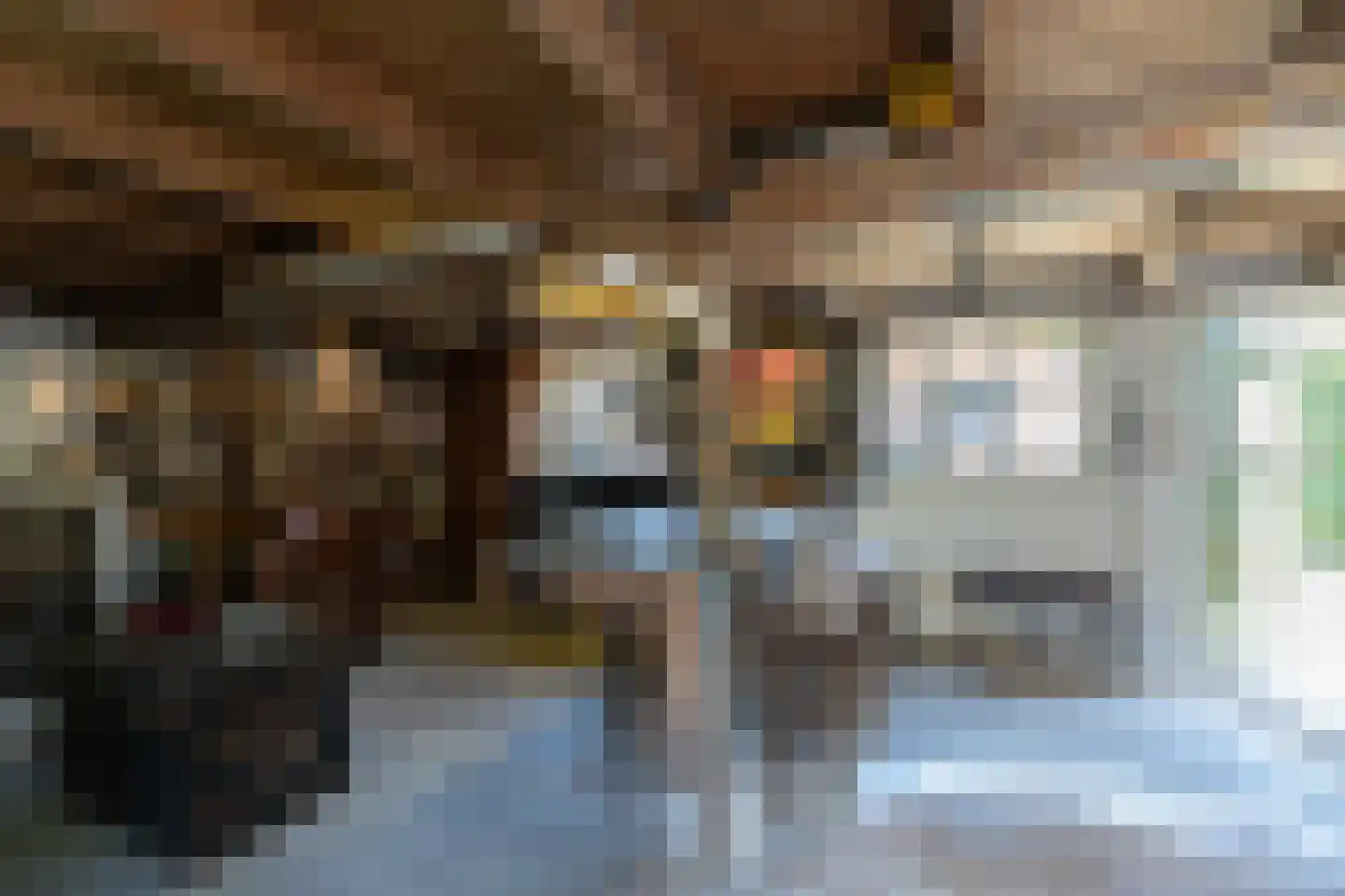 Beelaerts van Bloklandweg 47 Ottoland thumbnail 35