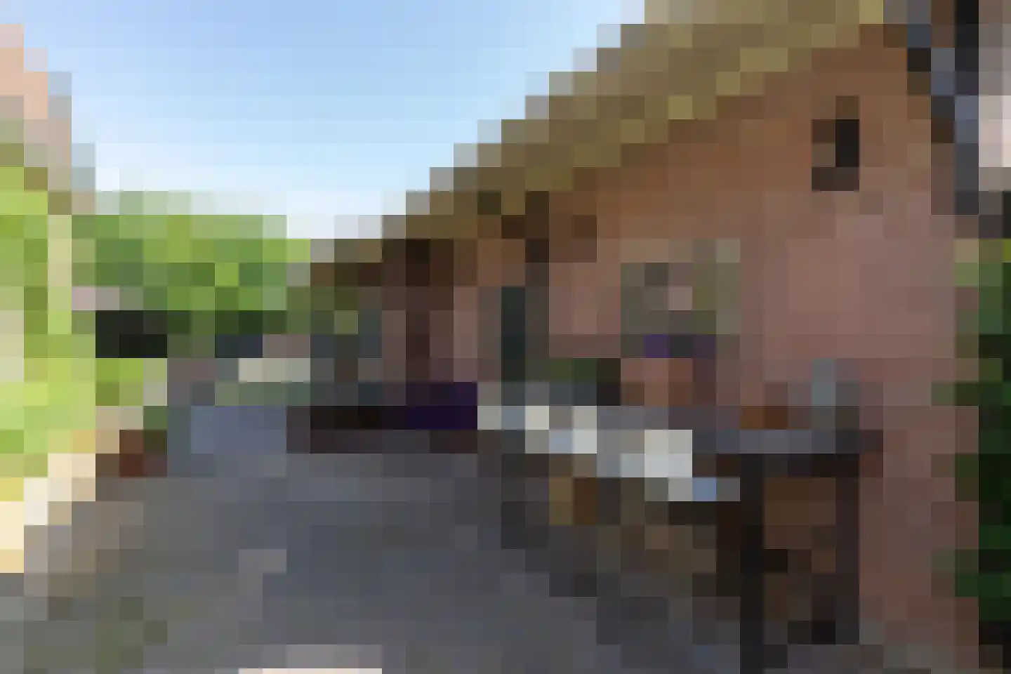 Beelaerts van Bloklandweg 47 Ottoland thumbnail 36