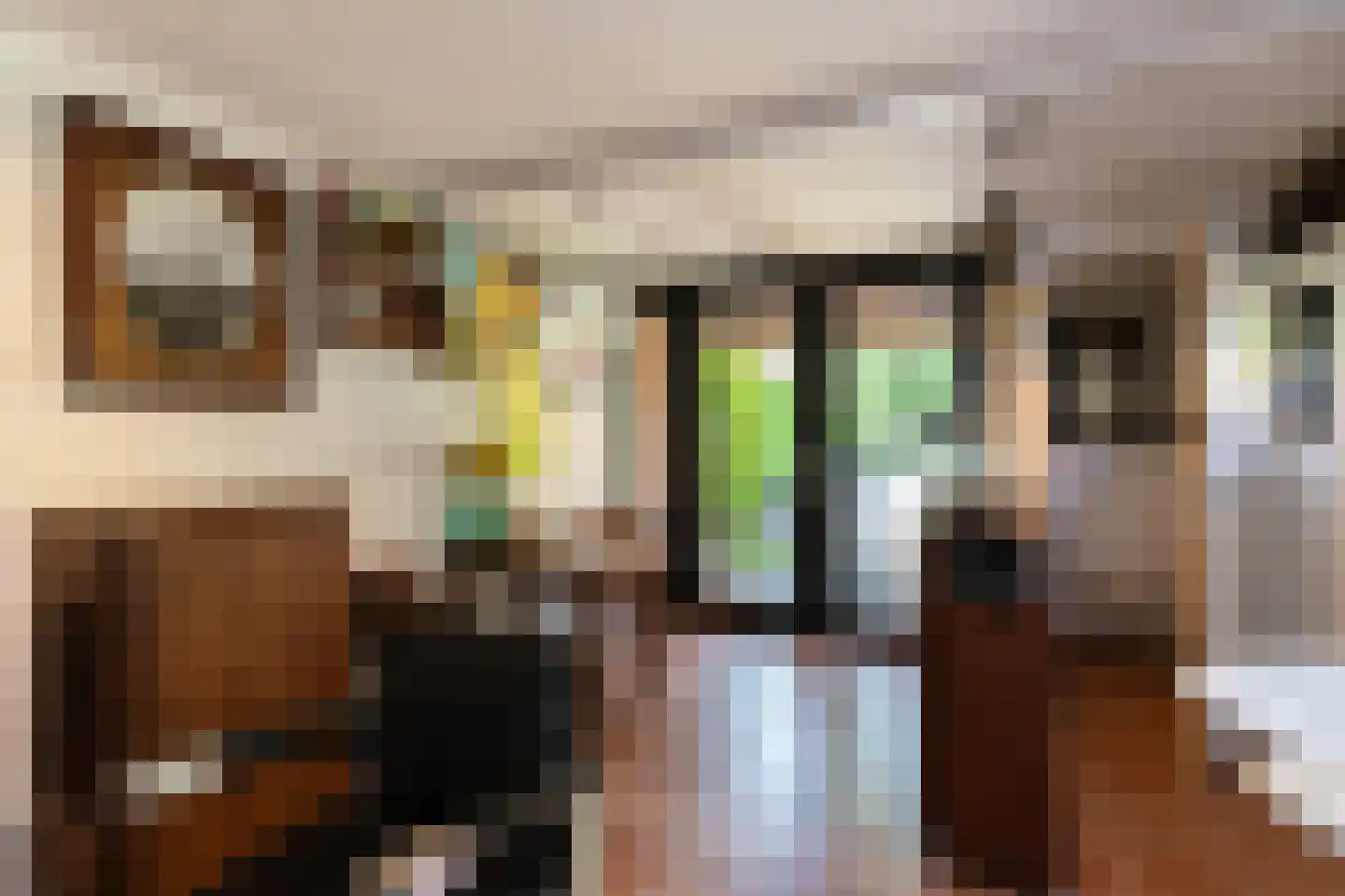 Beelaerts van Bloklandweg 47 Ottoland thumbnail 38