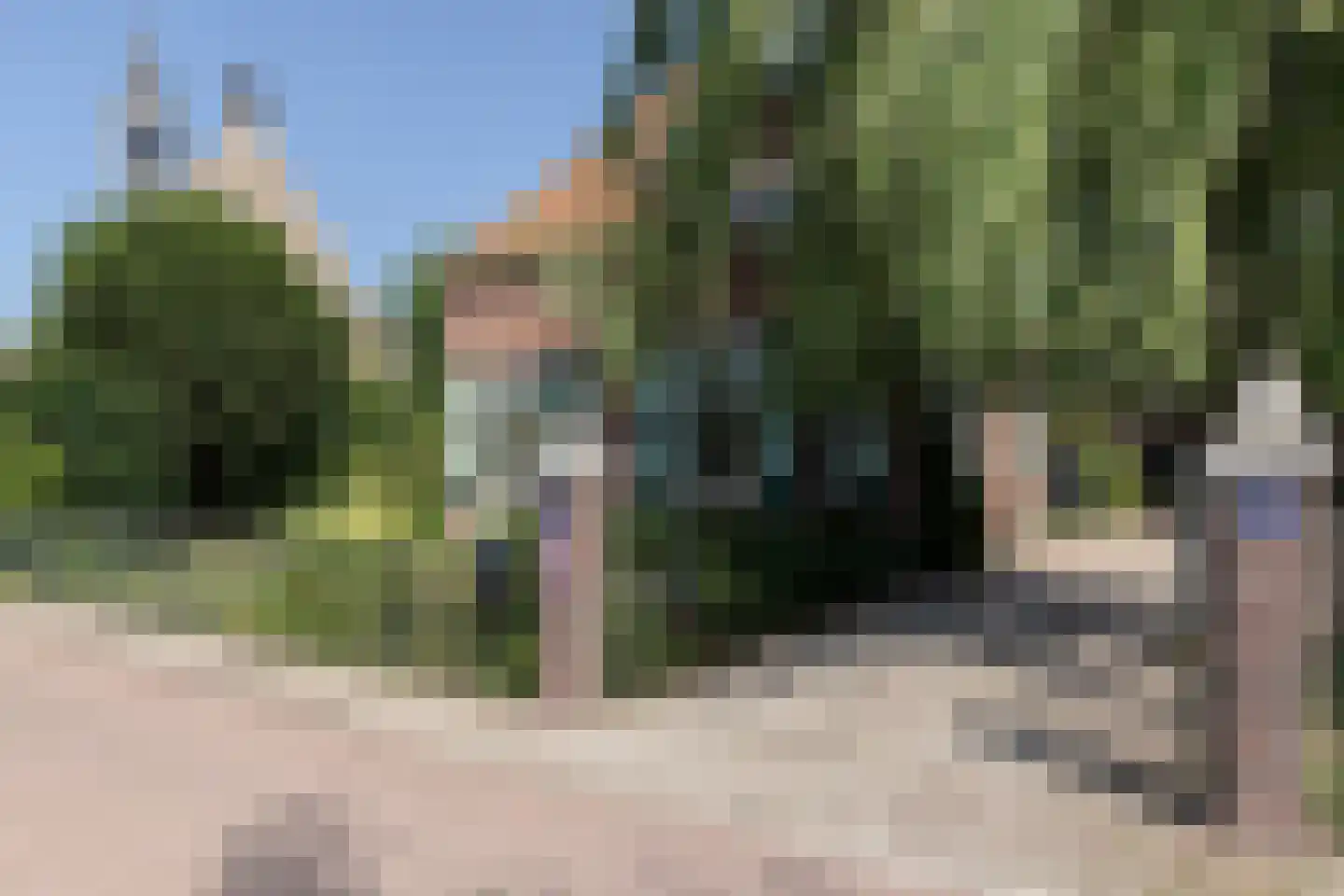 Beelaerts van Bloklandweg 47 Ottoland thumbnail 4