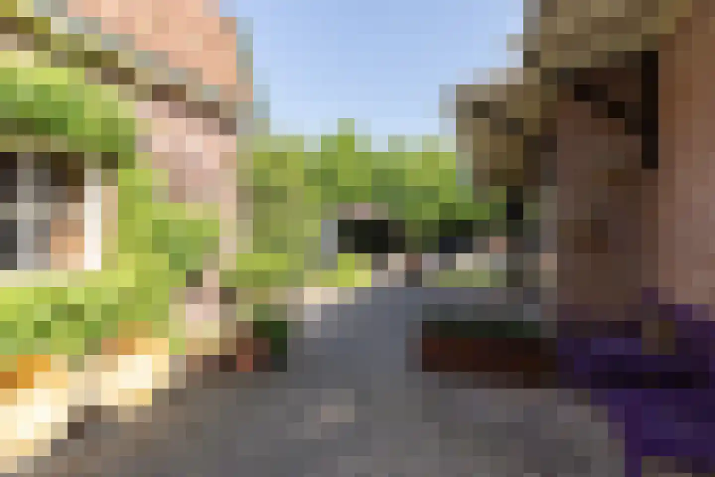 Beelaerts van Bloklandweg 47 Ottoland thumbnail 40