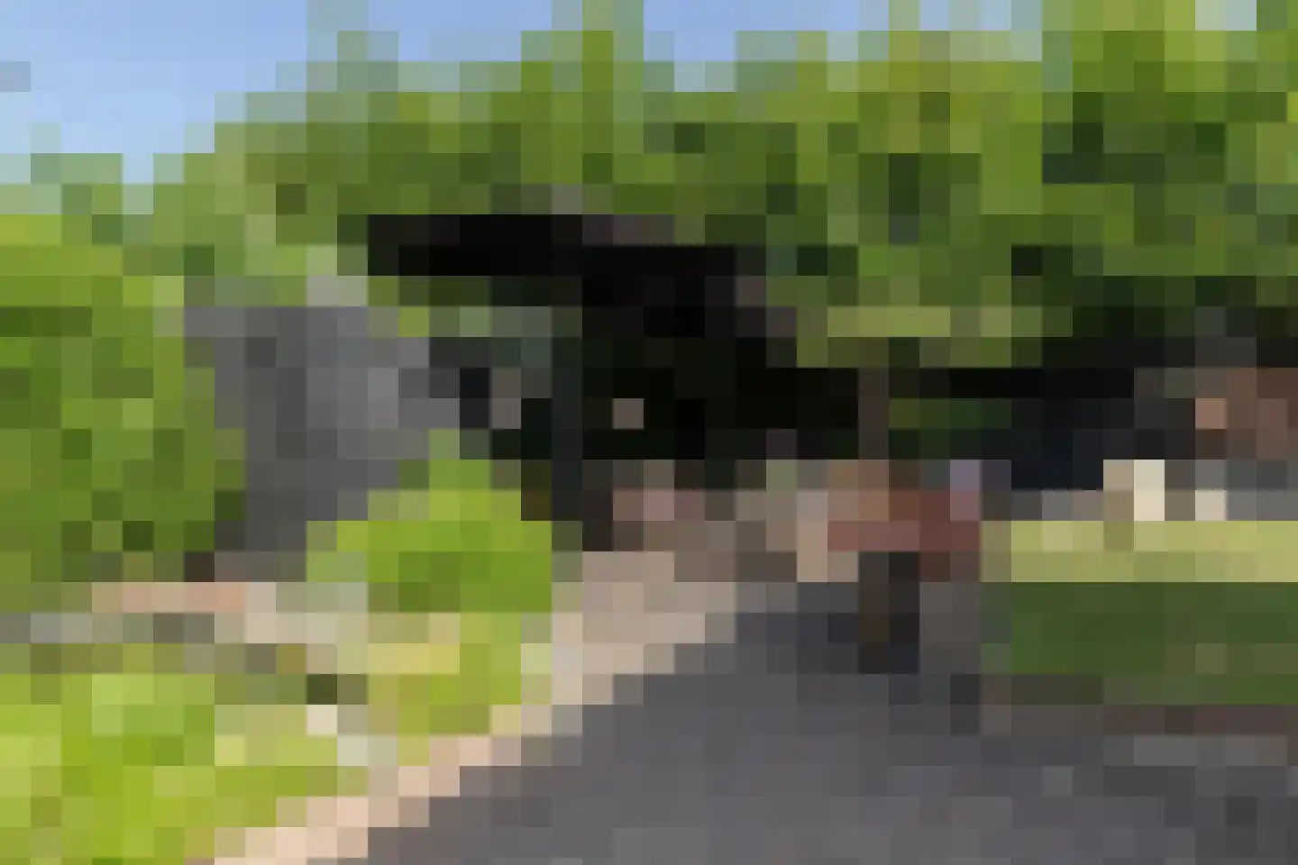 Beelaerts van Bloklandweg 47 Ottoland thumbnail 46