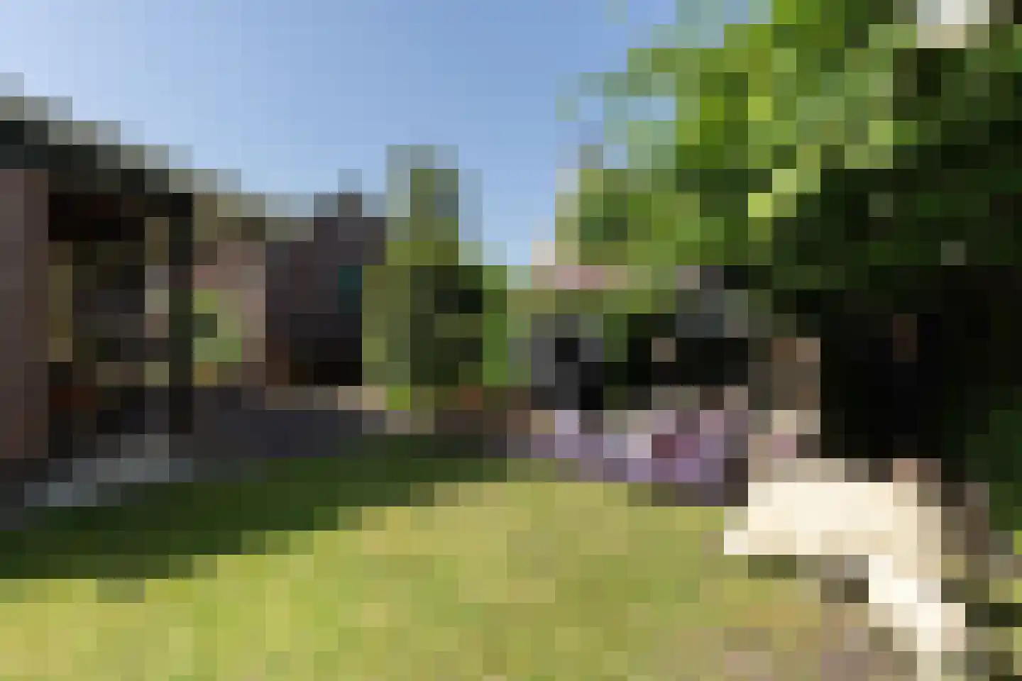 Beelaerts van Bloklandweg 47 Ottoland thumbnail 47