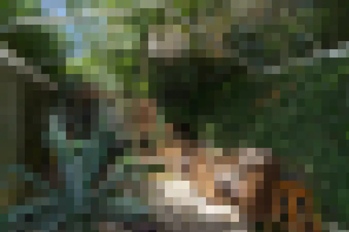 Beelaerts van Bloklandweg 47 Ottoland thumbnail 49
