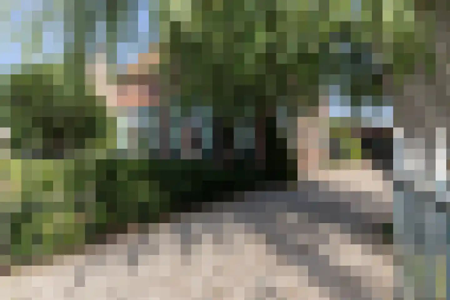 Beelaerts van Bloklandweg 47 Ottoland thumbnail 5