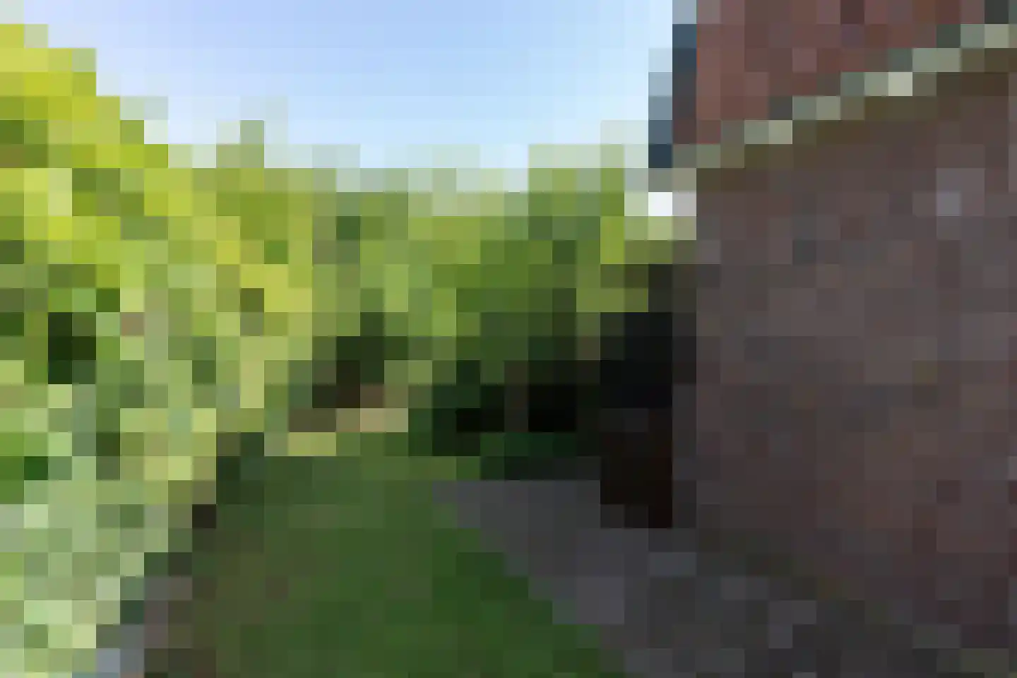 Beelaerts van Bloklandweg 47 Ottoland thumbnail 51
