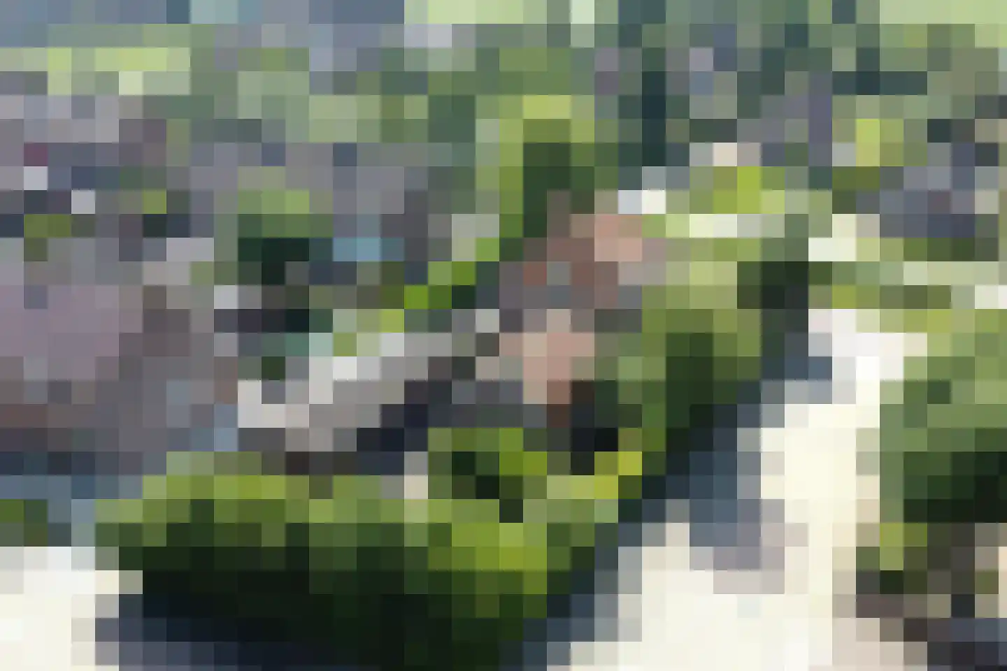 Beelaerts van Bloklandweg 47 Ottoland thumbnail 53