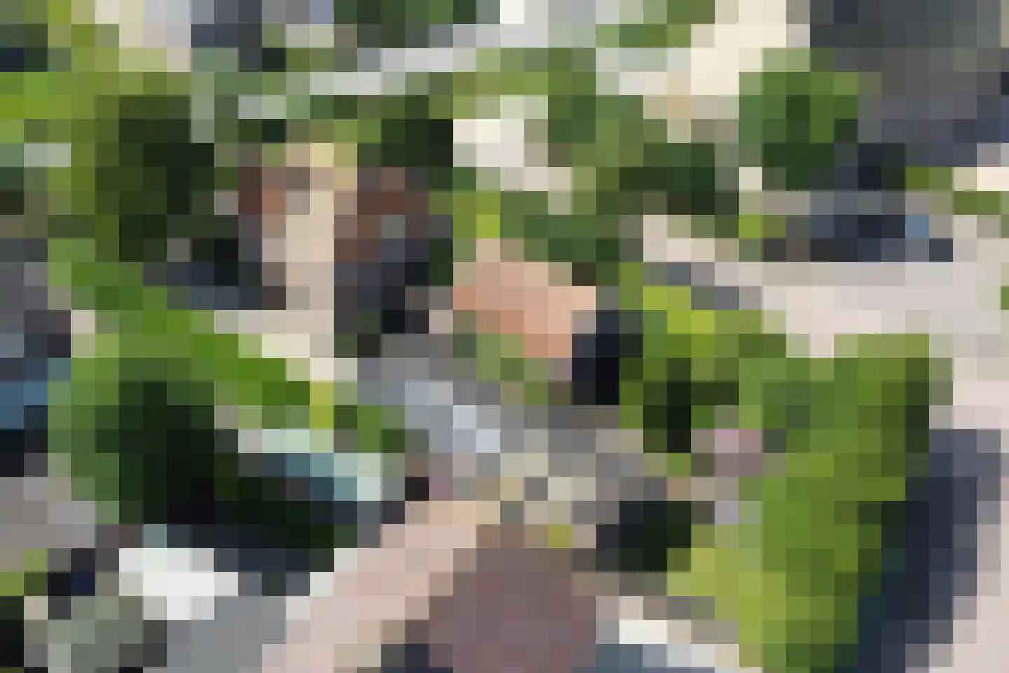 Beelaerts van Bloklandweg 47 Ottoland thumbnail 54