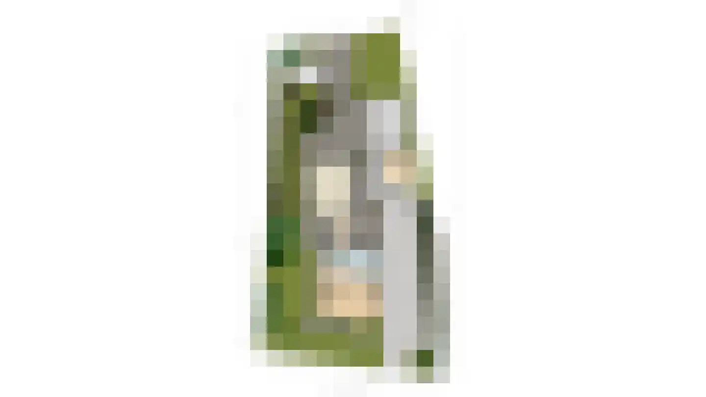 Beelaerts van Bloklandweg 47 Ottoland thumbnail 58