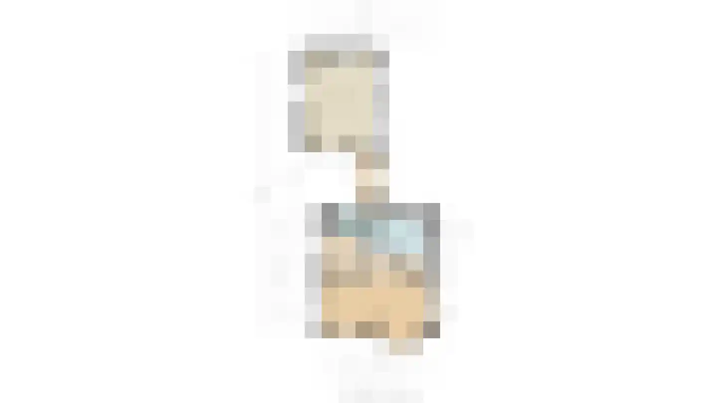 Beelaerts van Bloklandweg 47 Ottoland thumbnail 59