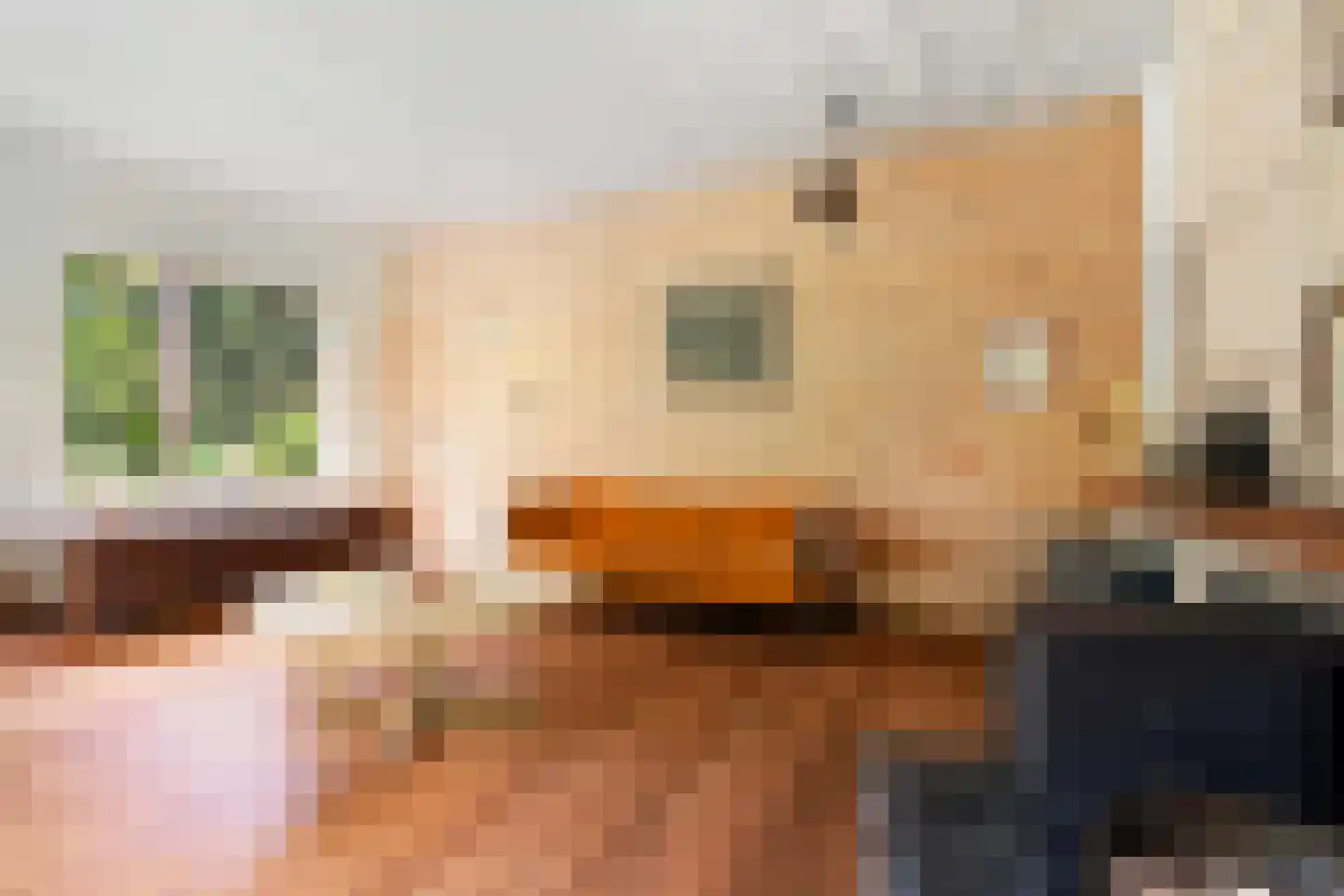Beelaertslaan 12 Oosterbeek thumbnail 12