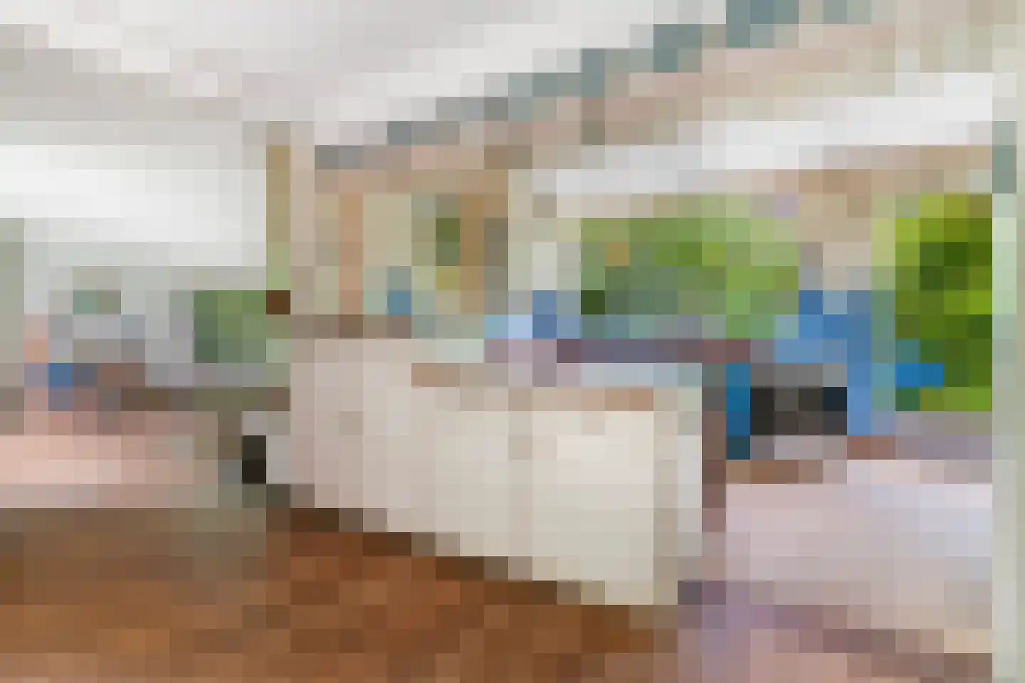 Beelaertslaan 12 Oosterbeek thumbnail 20