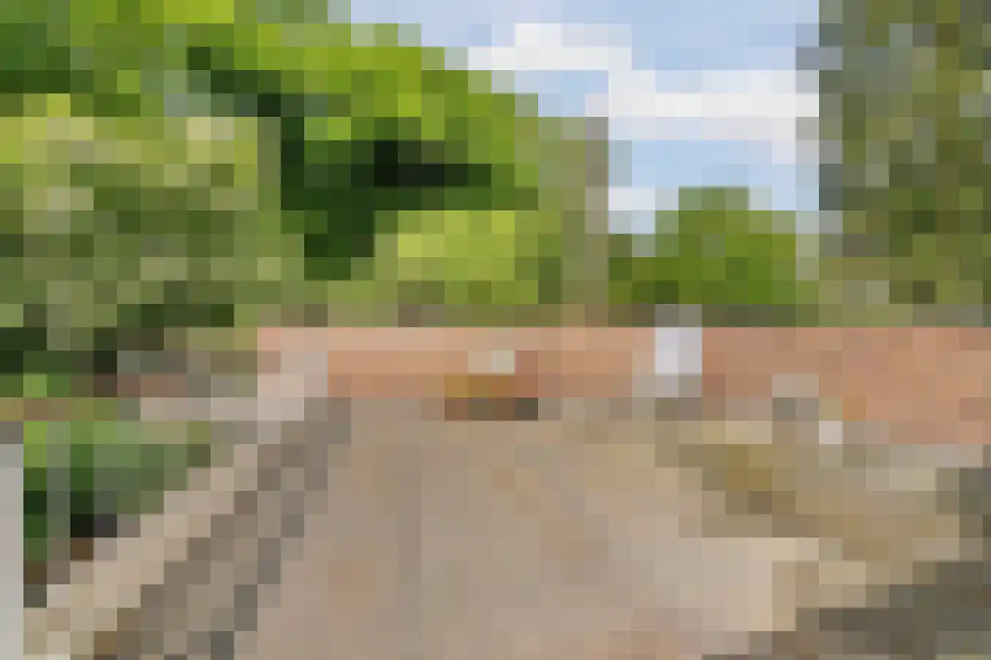Beelaertslaan 12 Oosterbeek thumbnail 38