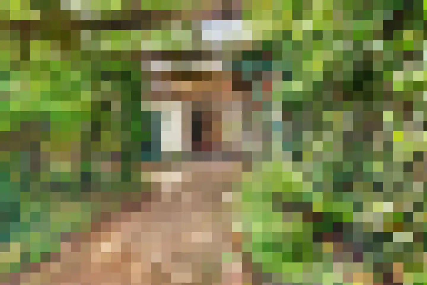 Beelaertslaan 12 Oosterbeek thumbnail 4