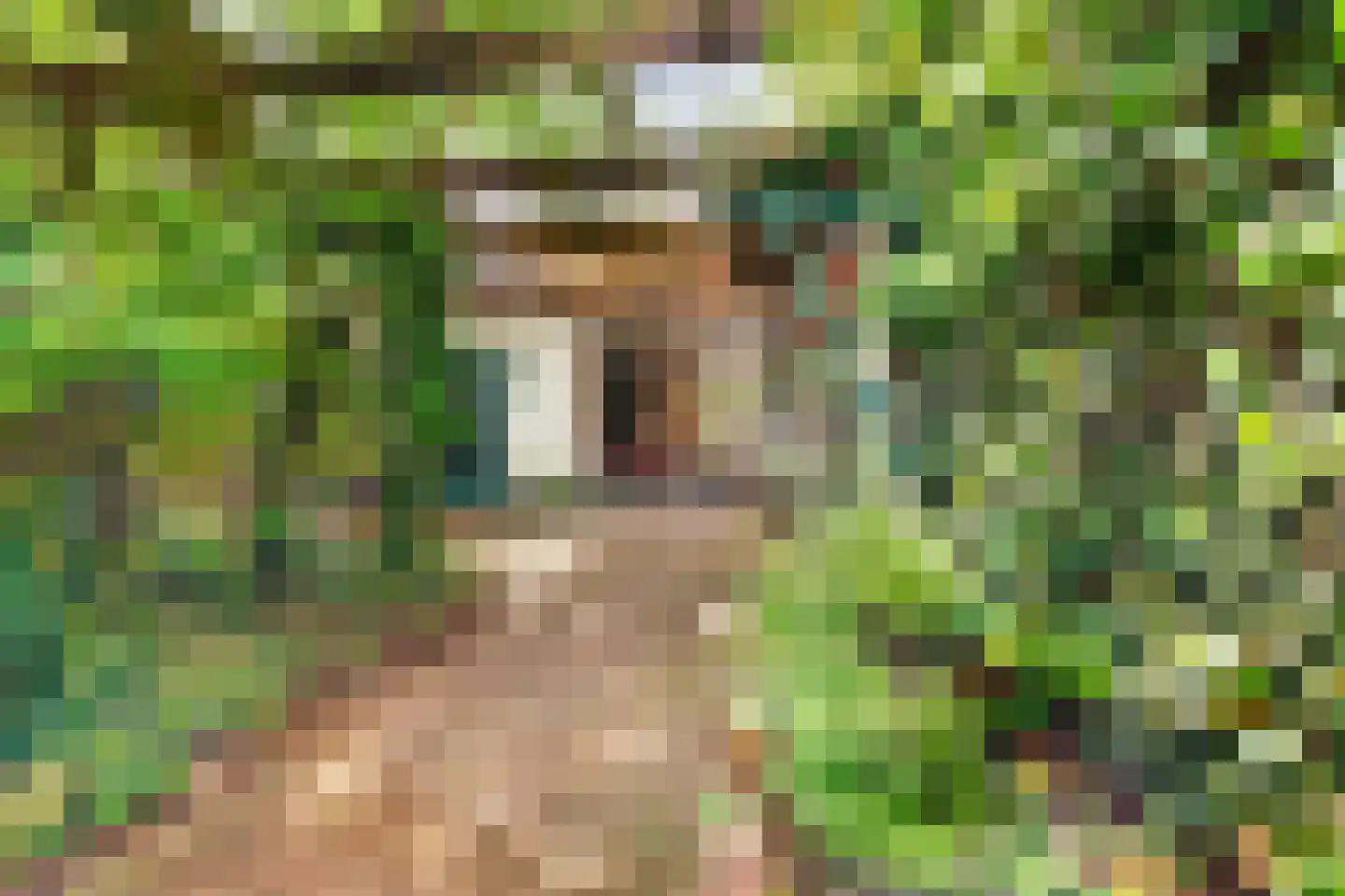 Beelaertslaan 12 Oosterbeek thumbnail 4