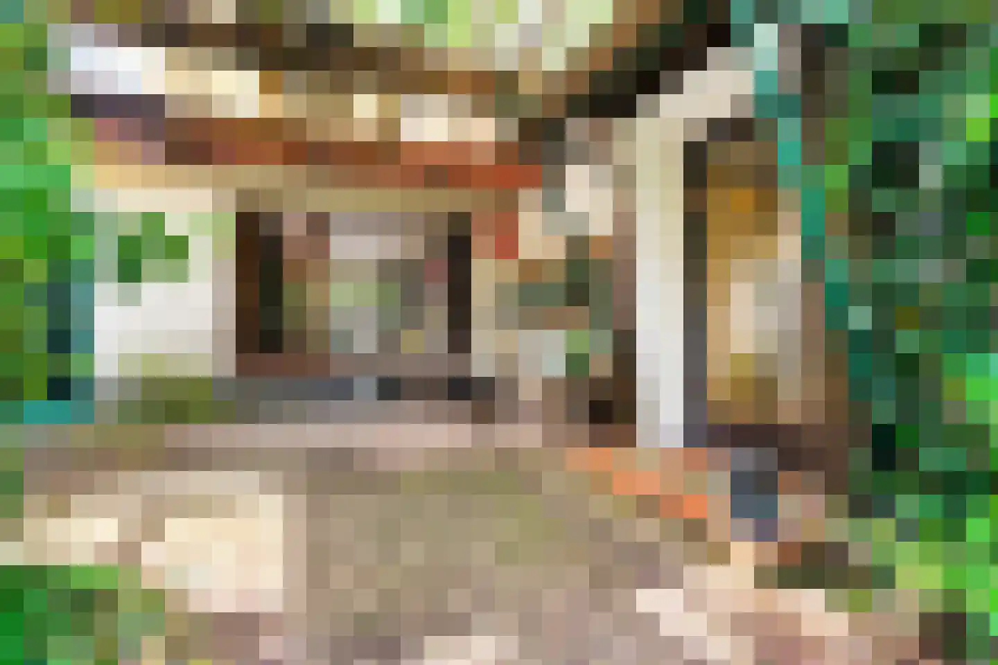 Beelaertslaan 12 Oosterbeek thumbnail 5