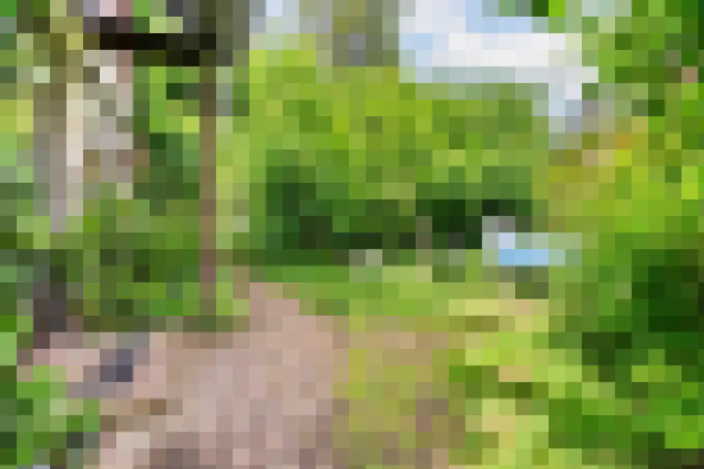 Beelaertslaan 12 Oosterbeek thumbnail 52
