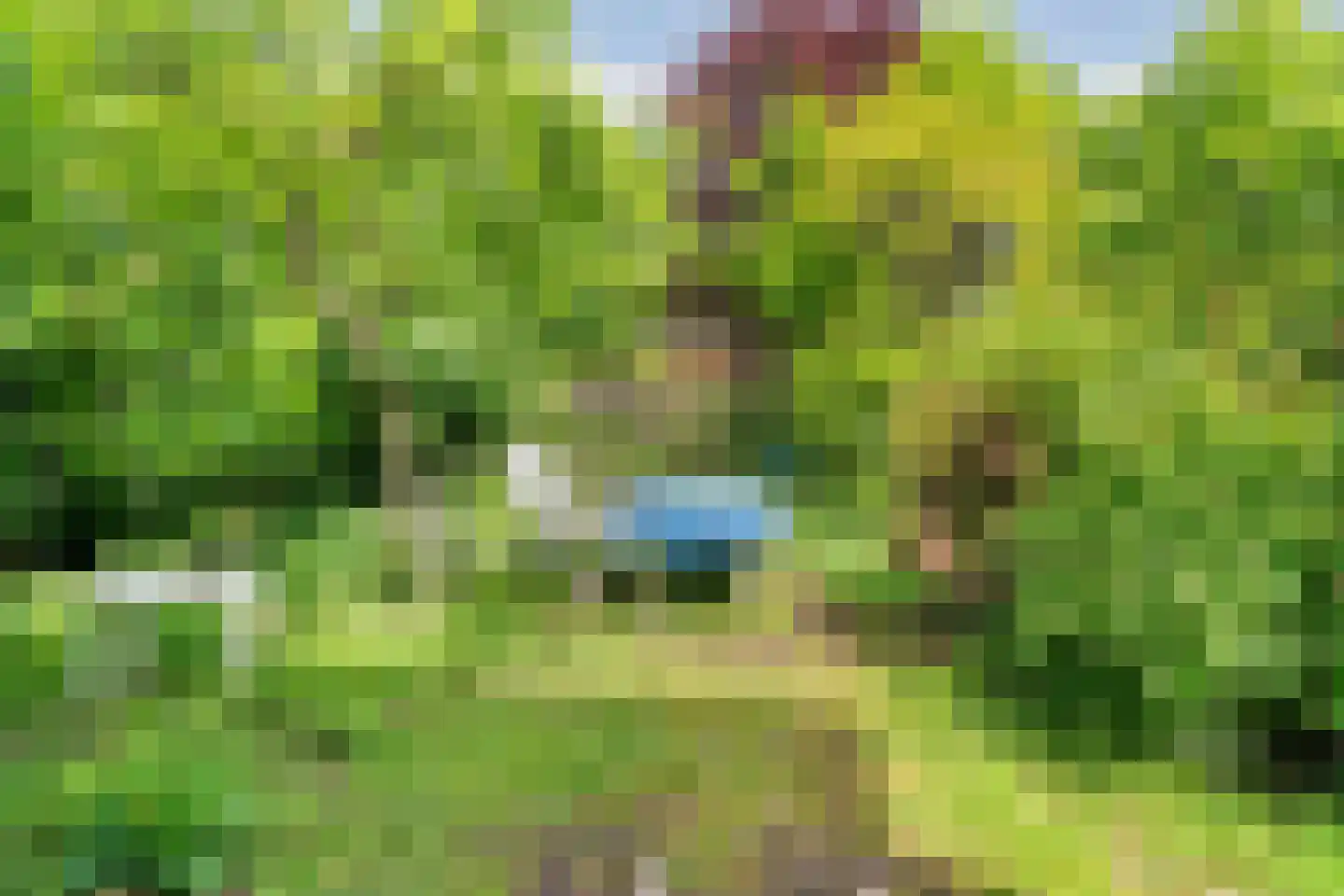 Beelaertslaan 12 Oosterbeek thumbnail 53