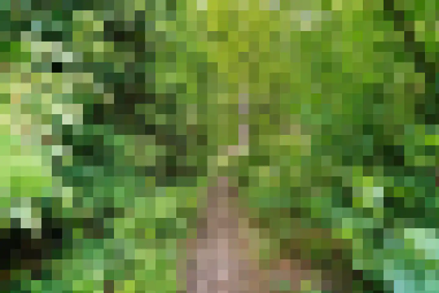 Beelaertslaan 12 Oosterbeek thumbnail 55