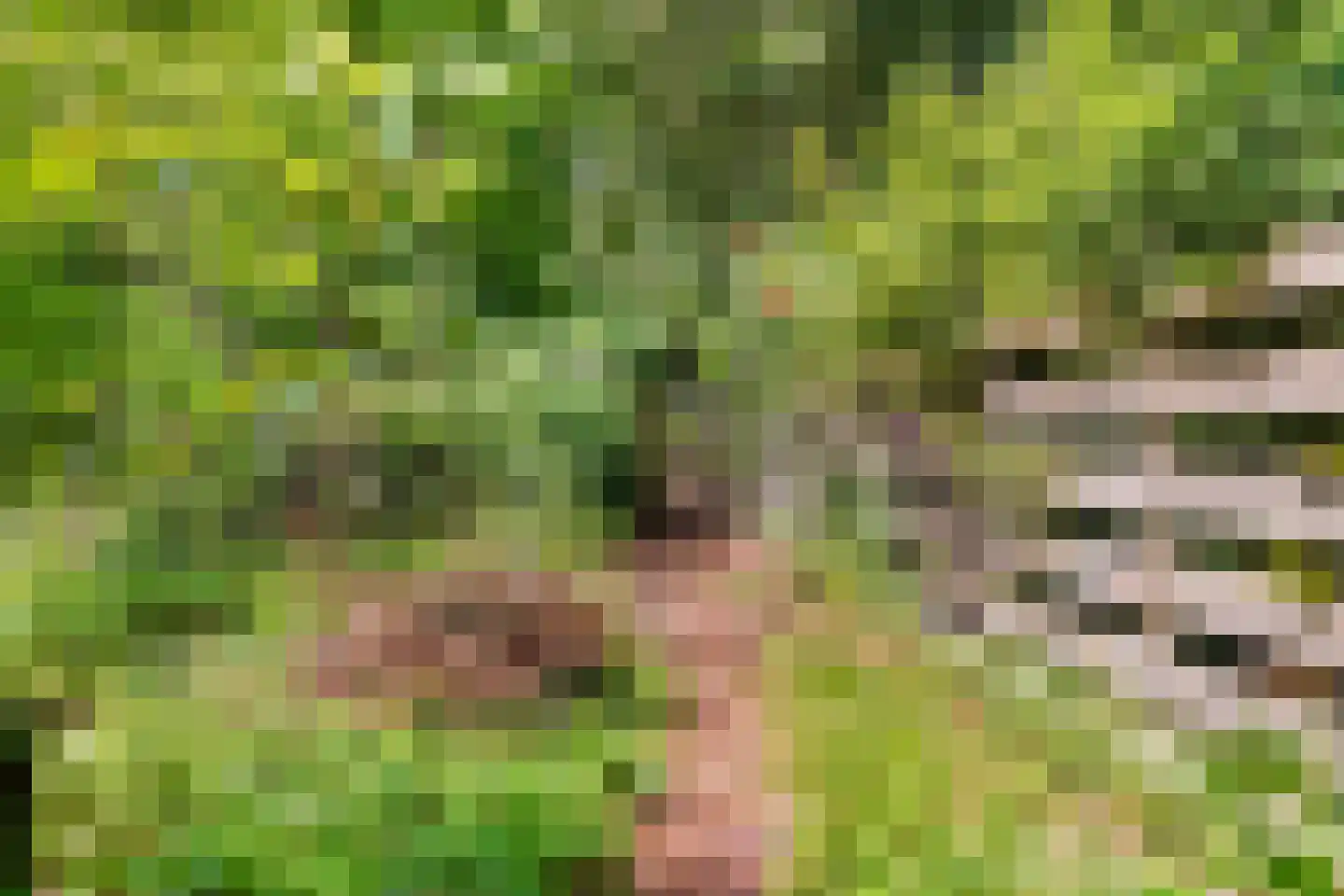Beelaertslaan 12 Oosterbeek thumbnail 57