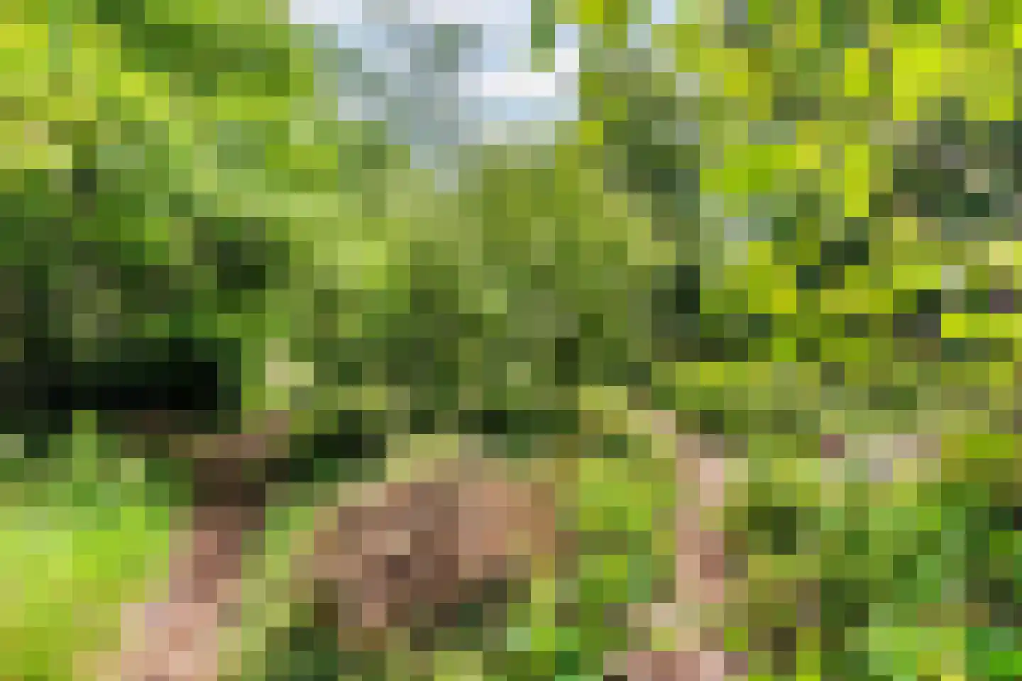 Beelaertslaan 12 Oosterbeek thumbnail 58