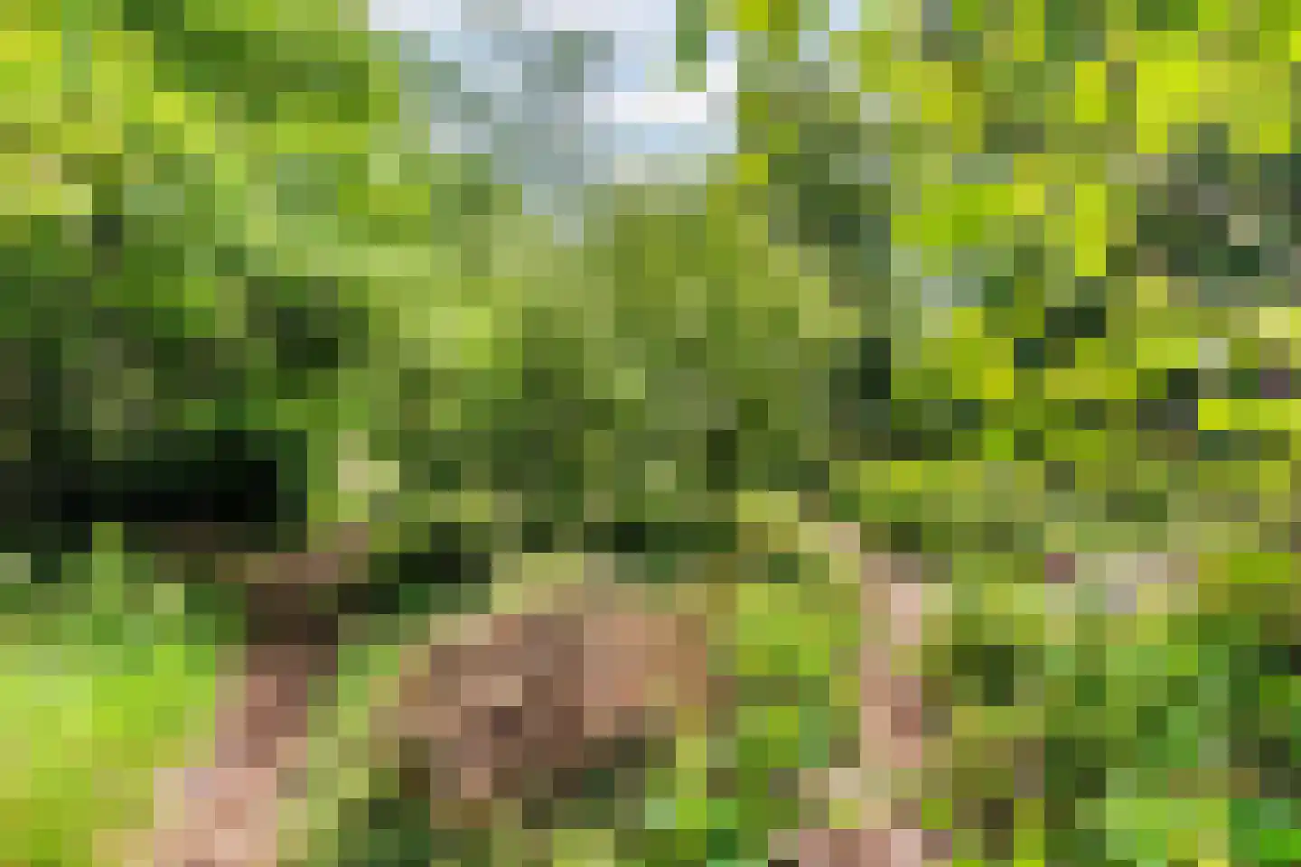 Beelaertslaan 12 Oosterbeek thumbnail 58